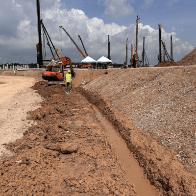 Dutch Lady – Big Blue Project Phase 2 — image 3